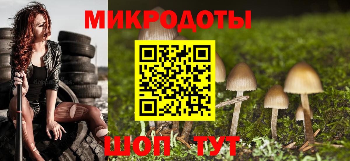 Вольск  Псилоцибиновые грибы прущие грибы  Псилоцибиновые грибы Cubensis  Вход с VPN 